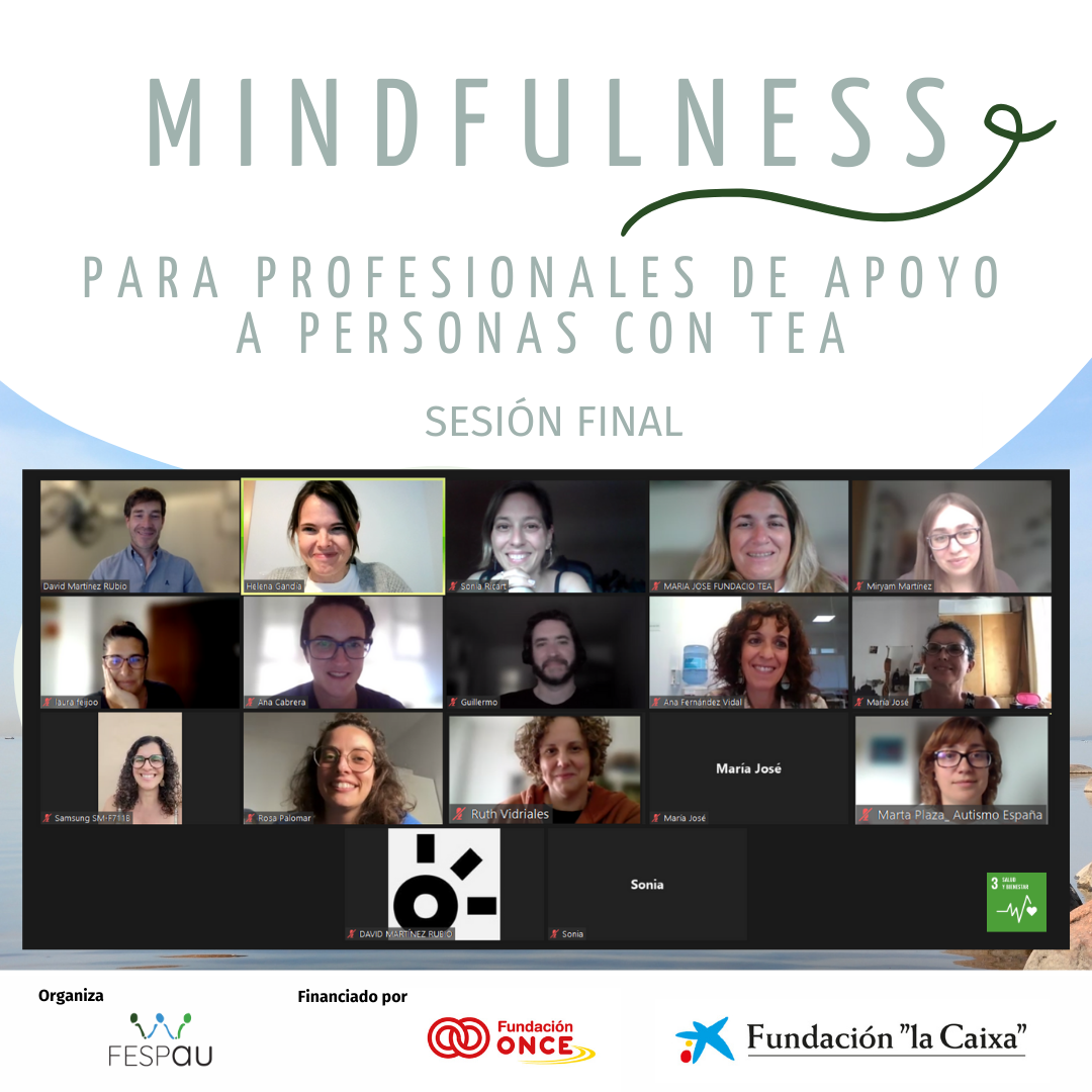 Finaliza nuestro programa de Mindfulness dirigido a profesionales de apoyo a personas con TEA